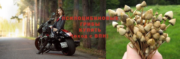 прущая мука Михайловск