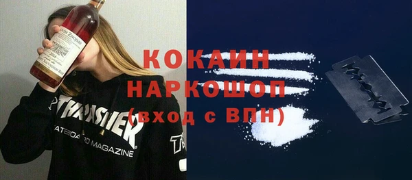 spice Михайлов