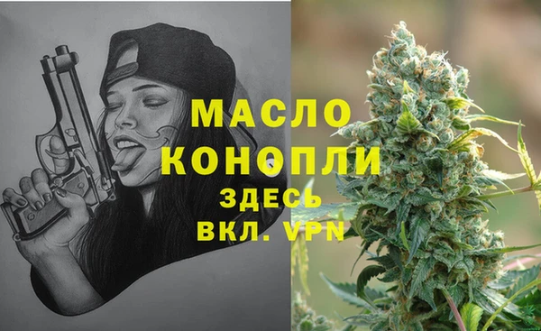 spice Михайлов