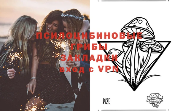 ГАЛЛЮЦИНОГЕННЫЕ ГРИБЫ Михайловка