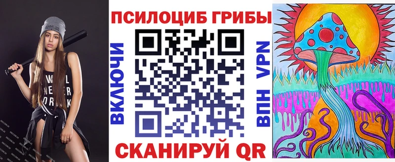 Галлюциногенные грибы Cubensis  закладки  Бабушкин 
